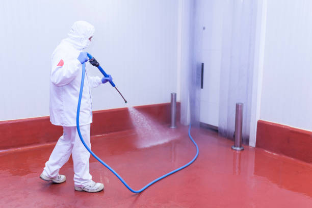 Best Winterizing Services  in Edgewood, NM